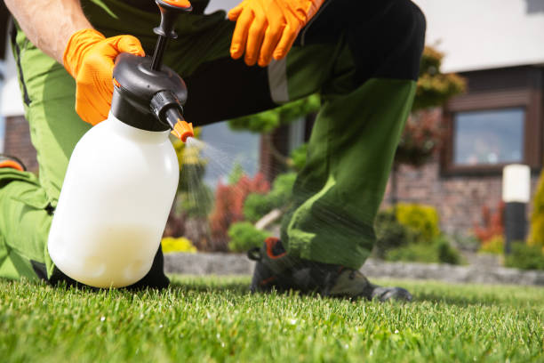 Best Wasp Removal Services  in Seneca, IL