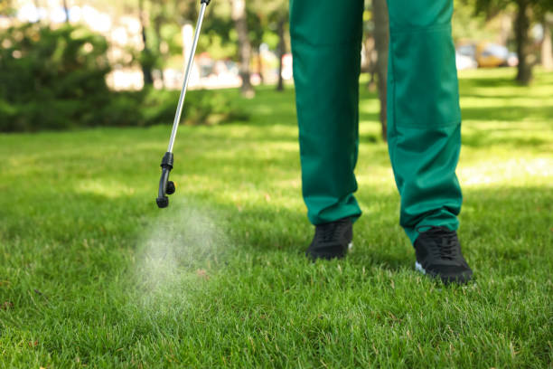 Best Residential Pest Control  in Seneca, IL
