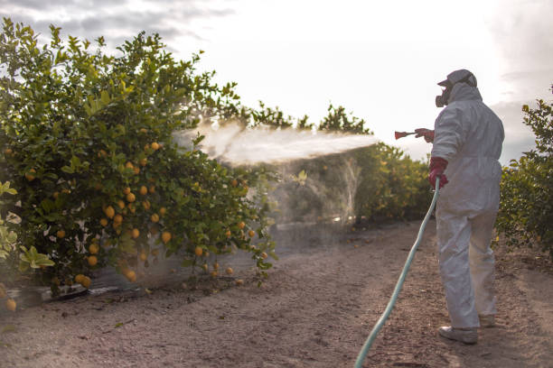 Best Mosquito Control Services  in Seneca, IL