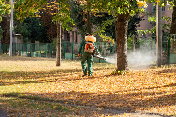 Best Wildlife Control Services  in Seneca, IL