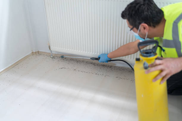 Best Affordable Pest Control Services  in Seneca, IL